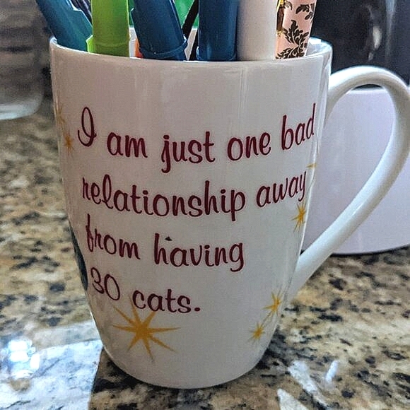 I am just one bad relationship from having 30 cats. - Picture 1 of 2